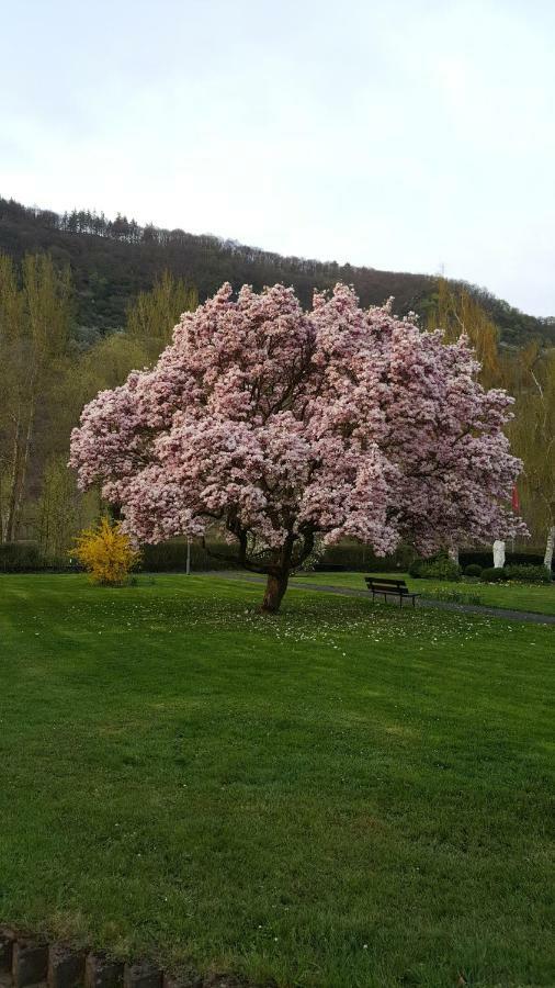 Ferienhaus Emil Cochem Luaran gambar